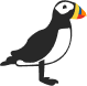 Puffin